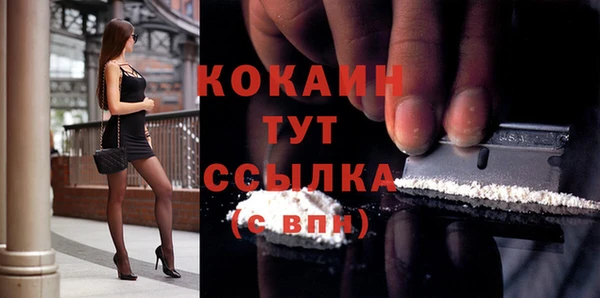 крисы Корсаков