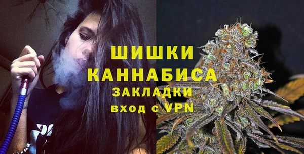 крисы Корсаков