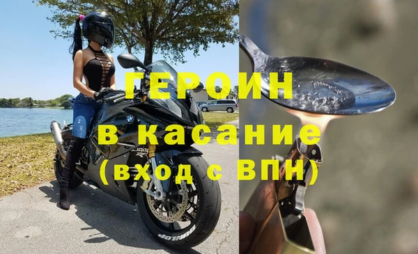 крисы Корсаков