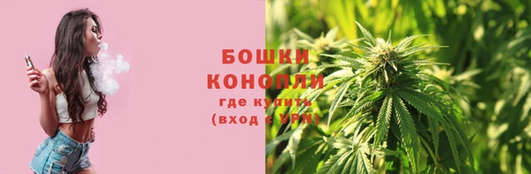 шишки Коряжма