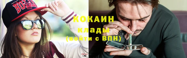 шишки Коряжма