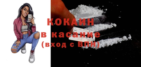 крисы Корсаков