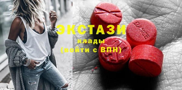 крисы Корсаков