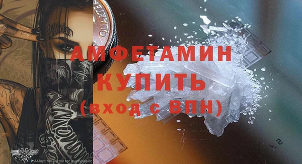 крисы Корсаков