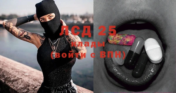 крисы Корсаков