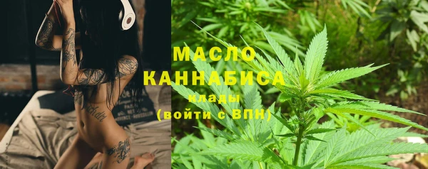 крисы Корсаков
