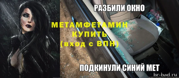 крисы Корсаков