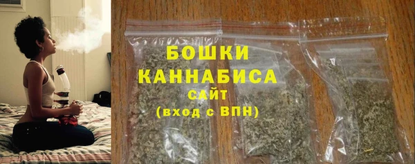 шишки Коряжма