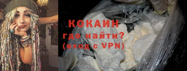 шишки Коряжма
