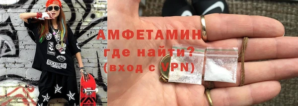 шишки Коряжма