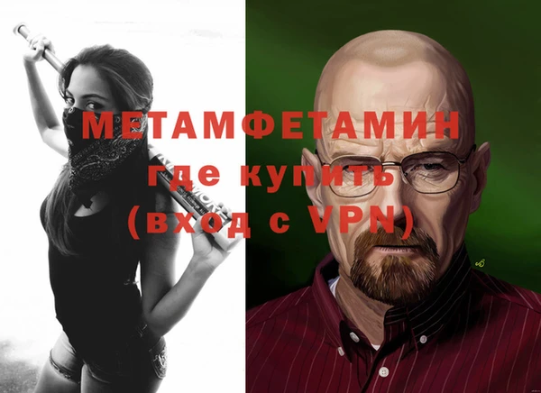 крисы Корсаков