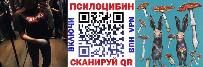 где продают наркотики  Сельцо  Псилоцибиновые грибы Cubensis 
